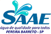 Logo SAAE